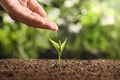 Farmer pouring water on young seedling in soil against blurred background, closeup Royalty Free Stock Photo