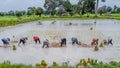 The farmer practice, an ancient method,to plantation, green paddy rice field with beautiful sky and cloud in Thailand.