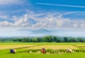 The farmer practice, an ancient method,to plantation, green paddy rice field with beautiful sky and cloud, Thailand`s fuji