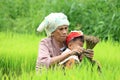 Farmer preparing rice sprouts