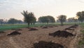 Farmer protest in India. Empty seedless agriculture farmland closeup due to Agriculture farm bill protestation in India Royalty Free Stock Photo