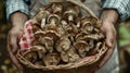 A farmer proudly displaying their harvest of shiitake mushrooms neatly arranged in a sy basket lined with a red gingham Royalty Free Stock Photo
