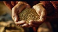 A farmer proudly holds a handful of soybeans Royalty Free Stock Photo