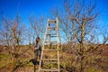 Gardener is cutting branches, pruning fruit trees with long shears in the orchard Royalty Free Stock Photo