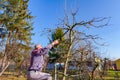 Gardener is cutting branches, pruning fruit trees with long shears in the orchard Royalty Free Stock Photo