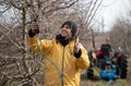 Farmer pruning fruit tree