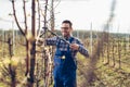 Farmer pruning fruit trees in orchard Royalty Free Stock Photo