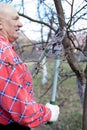 Farmer   pruning tree branches Royalty Free Stock Photo