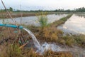 Farmer pumping water into the fields Royalty Free Stock Photo