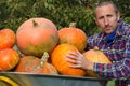 Farmer with pumpkins,young farmer with pumpkins hugging on a wheelbarrow Royalty Free Stock Photo