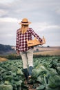Woman holding crate walking in cabbage field Royalty Free Stock Photo