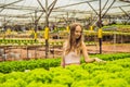 Farmer researching plant in hydroponic salad farm. Agriculture a Royalty Free Stock Photo