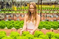 Farmer researching plant in hydroponic salad farm. Agriculture a Royalty Free Stock Photo
