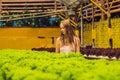 Farmer researching plant in hydroponic salad farm. Agriculture and scientist concept Royalty Free Stock Photo