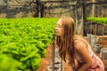 Farmer researching plant in hydroponic salad farm. Agriculture and scientist concept Royalty Free Stock Photo