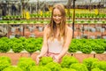 Farmer researching plant in hydroponic salad farm. Agriculture and scientist concept Royalty Free Stock Photo