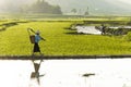 A Farmer on Rice field in Vietnam