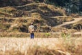 Farmer on the rice fields on the Annapurna Base Camp Trek, Nepal Royalty Free Stock Photo