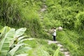 Farmer in rice terraces, Bali