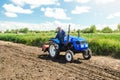 A farmer rides across the field on a tractor with a milling machine. Ground preparation for crop planting. Loosening surface,
