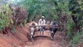 Farmer rides on the harness of draughts in Shan State, Myanmar