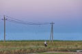 A farmer rides a motorcycle along power lines. A flock of birds scatters from the sound of a moped