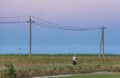 A farmer rides a motorcycle along power lines. A flock of birds scatters from the sound of a moped