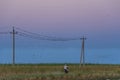 A farmer rides a motorcycle along power lines. A flock of birds scatters from the sound of a moped