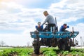 A farmer rides a tractor across the field and looks back. Agricultural farm field cultivation. Young potato bushes plantation. Royalty Free Stock Photo