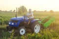 The farmer rides a tractor. Farming and farmland. Campaign harvesting potatoes in autumn. Countryside. Food production.