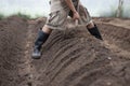 Farmer ridging soil by shovel grow strawberry Royalty Free Stock Photo