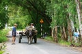 Farmer riding buffalo cart on country road Royalty Free Stock Photo