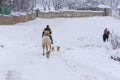 Winter horseback riding on the estate on a frosty day.