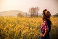 Female agronomist looking at sunset on the horizon Royalty Free Stock Photo