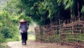 Farmer on road, Sa Pa Valley, Vietnam