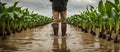 Farmer in rubber boots navigates a flooded field confronting the challenges of increasing crop failures caused by torrential rain