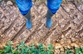 Farmer with rubber boots stands in a field with tractor tracks and plants