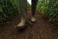 Farmer in rubber boots walking through muddy wheat field Royalty Free Stock Photo