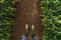 Farmer in rubber boots walking through muddy wheat field Royalty Free Stock Photo