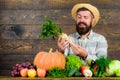 Farmer rustic villager appearance. Man cheerful bearded farmer hold horseradish wooden background. Grow organic crops Royalty Free Stock Photo