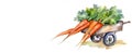 Farmer\'s carrots on a cart, watercolor, banner, Generative AI 1