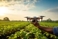 A farmer\'s hand launches a drone over a field with a crop to check its condition Royalty Free Stock Photo