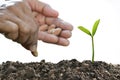 Farmer`s hand planting a seed in soil Royalty Free Stock Photo