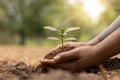 Farmer`s hand planting seedlings in the ground, afforestation Royalty Free Stock Photo