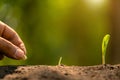 Farmer's hand planting seeds of corn tree in soil. Agriculture, Growing or environment concept