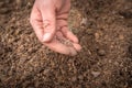 Farmer`s hand planting seeds in soil Royalty Free Stock Photo
