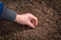 Farmer`s hand planting seeds in soil Royalty Free Stock Photo