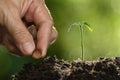 Farmer`s hand planting seeds in soil on nature Royalty Free Stock Photo