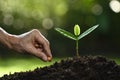 Farmer`s hand planting seeds in soil on nature