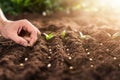 Farmer`s Hand Planting Seeds In Soil Royalty Free Stock Photo